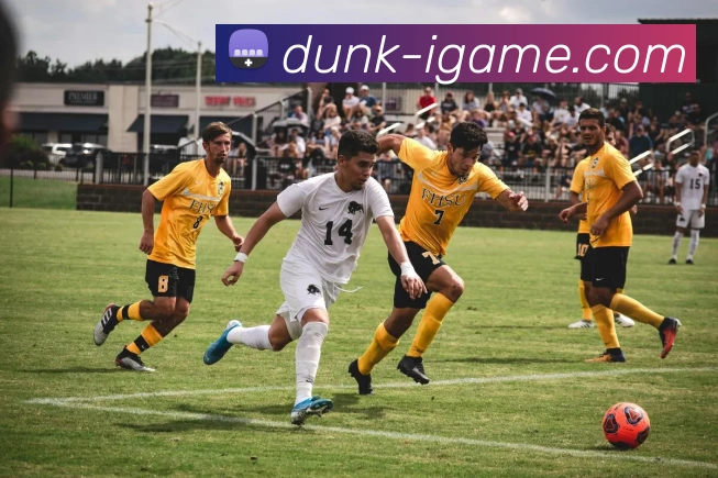 爱游戏APP 封面图